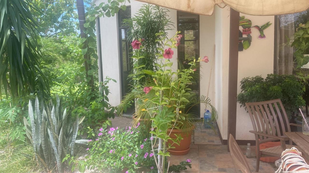 Villa Pura Vida Matapalo  외부 사진
