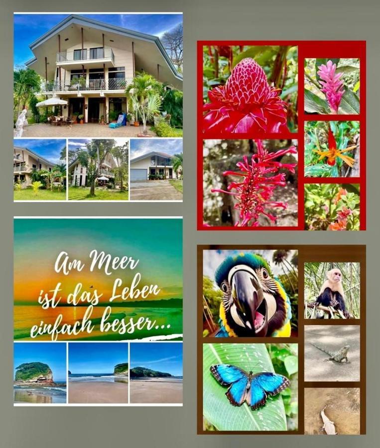 Villa Pura Vida Matapalo  외부 사진
