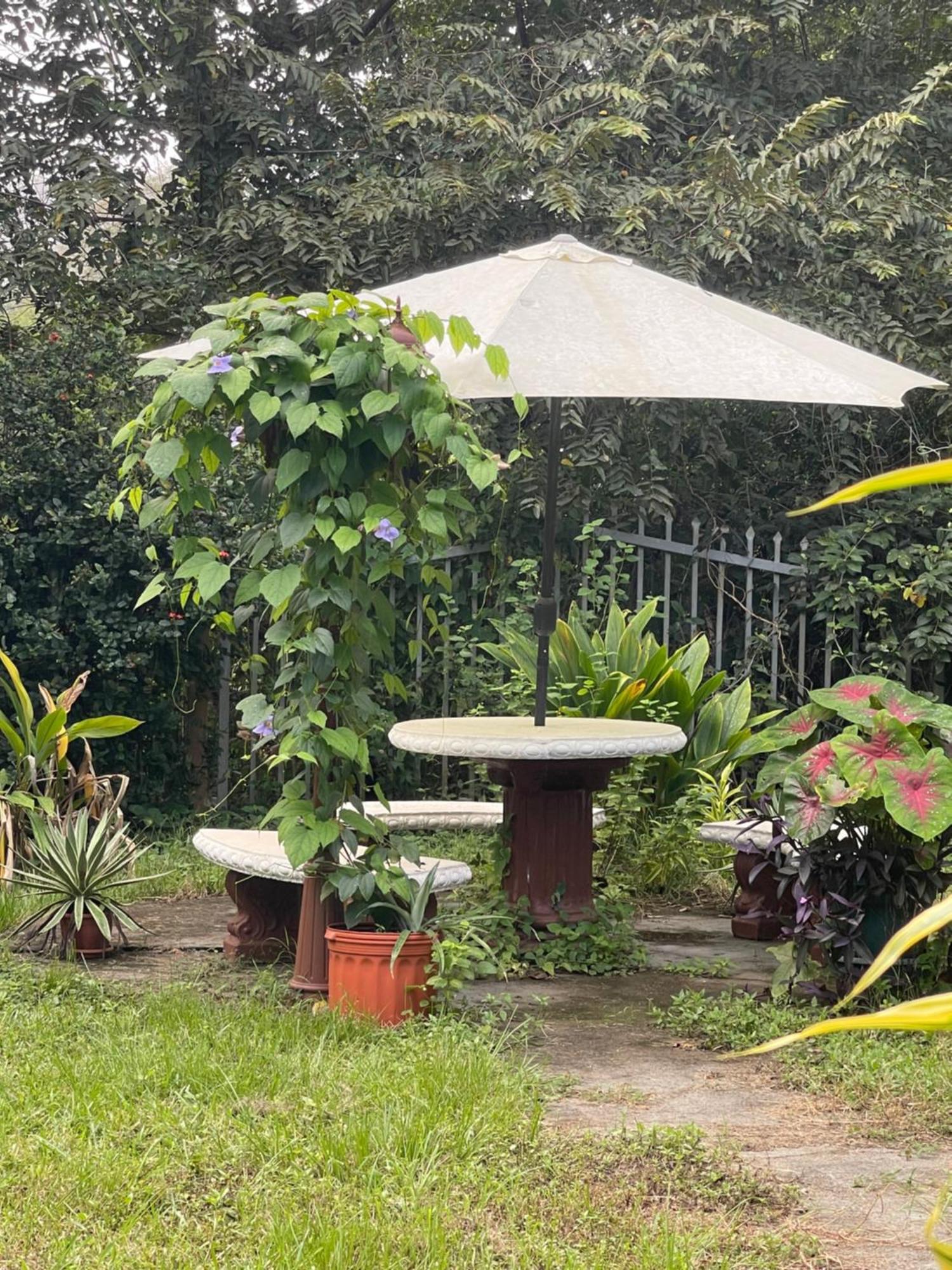 Villa Pura Vida Matapalo  외부 사진